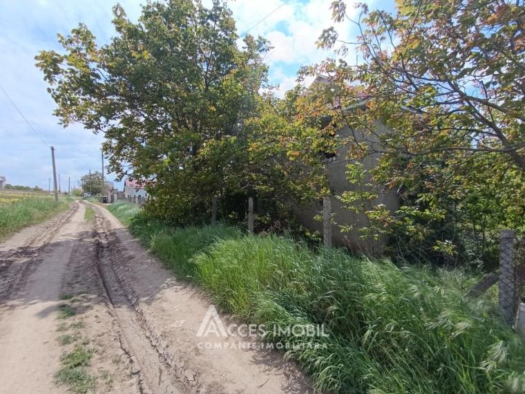 Teren pentru construcții 31 ari! Malcoci, str. Mihai Eminescu!: 1
