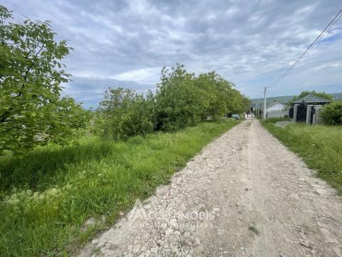 : Dănceni, str. Cronicarilor