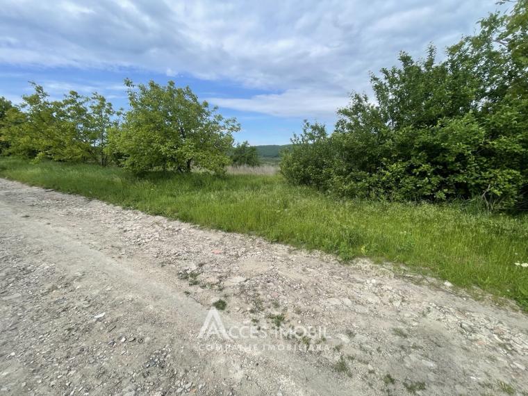 Teren pentru construcție 10 ari, Dănceni, str. Cronicarilor!: 1