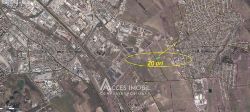 Teren pentru construcții comerciale 20 ari! Bubuieci!: 9