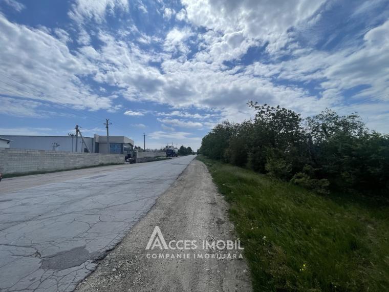 Teren agricol 93 ari, Cojușna!: 1