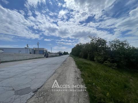 Teren agricol 93 ari, Cojușna!: 1