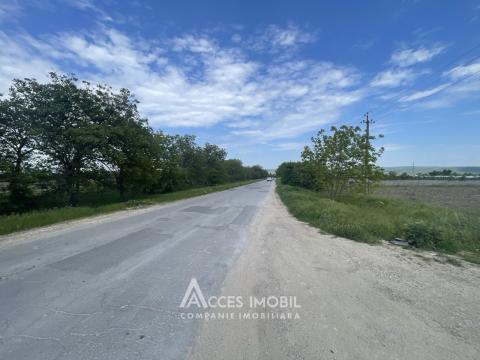 Teren agricol 93 ari, Cojușna!: 2