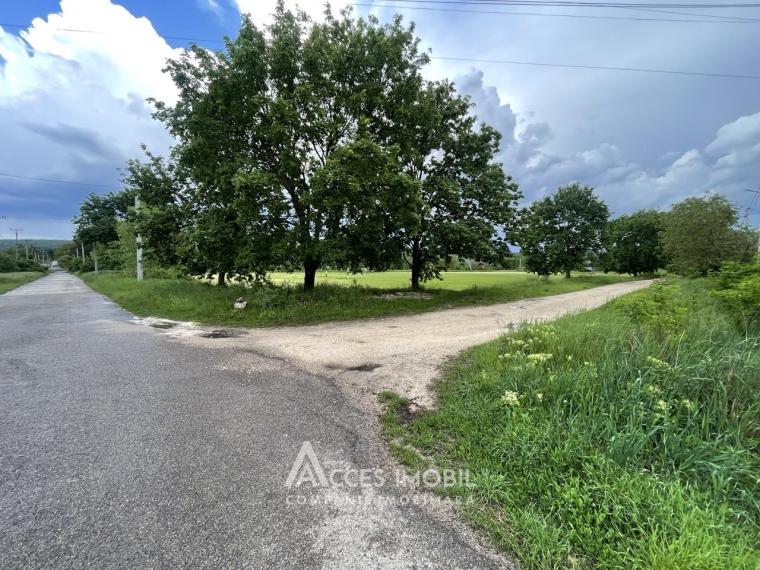 Teren pentru construcție 35 ari, Orhei, satul Ivancea, str. Sanatorială!: 0