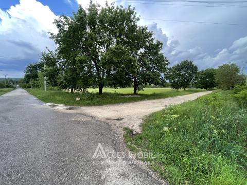 Terenuri de vânzare în Chișinău: Ivancea, str. Sanatoriala