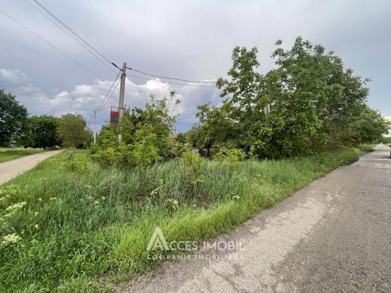 Teren pentru construcție 35 ari, Orhei, satul Ivancea, str. Sanatorială!: 1