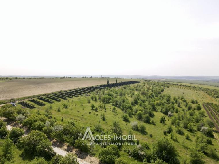Teren Agricol 57 ari! Bubuieci, str. Ștefan cel Mare!: 2