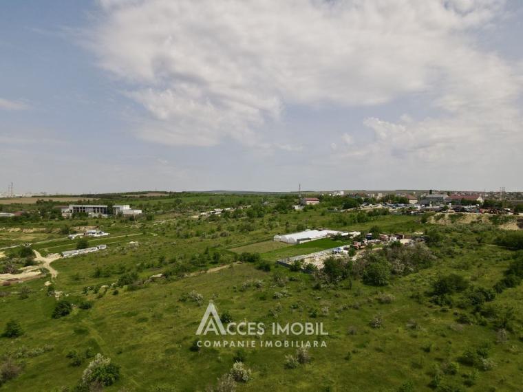 Teren pentru construcții comerciale 20 ari! Bubuieci!: 1