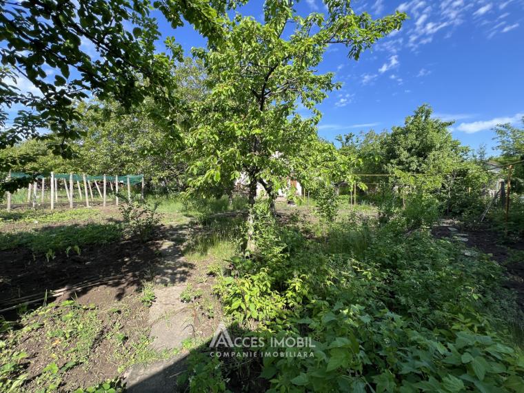 Vilă în 2 niveluri! IP. Pădureț, 150m² + 13 ari! Încălzire autonomă!: 18