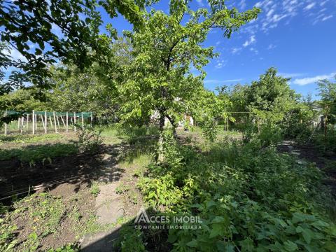 Vilă în 2 niveluri! IP. Pădureț, 150m² + 13 ari! Încălzire autonomă!: 18