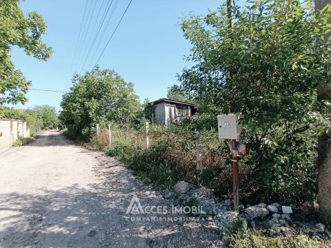 Teren pomicol 6 ari, Codru, str. 6: 1