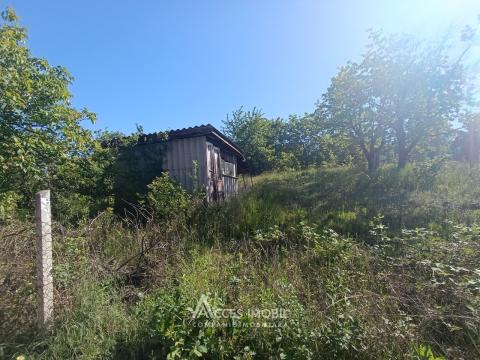 Terenuri de vânzare în Chișinău: Codru, str. 6