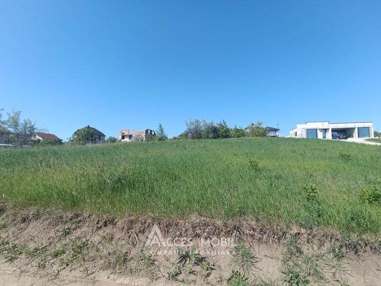 Teren pentru construcție, 5 ari, Nimoreni, str. Plopilor: 0