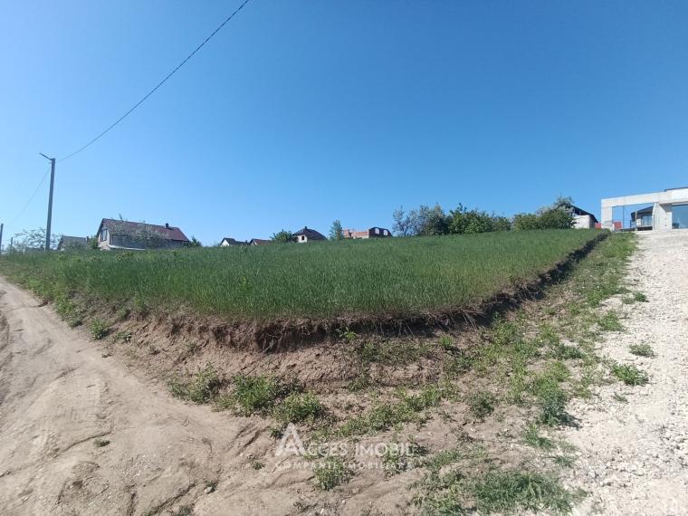 Teren pentru construcție, 5 ari, Nimoreni, str. Plopilor: 1