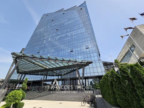 Commercials for rent in Chisinau: Center, Mihai Viteazul street
