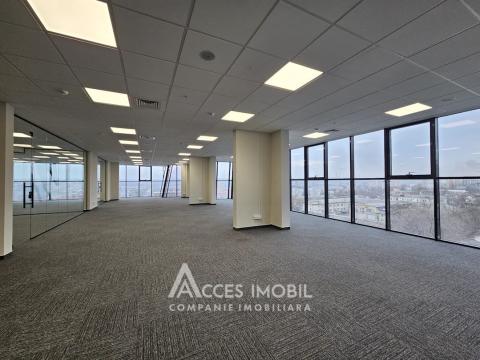 New Block! Center, Mihai Viteazul street, commercial space 238m². Eurorepair! Autonomous heating!: 5