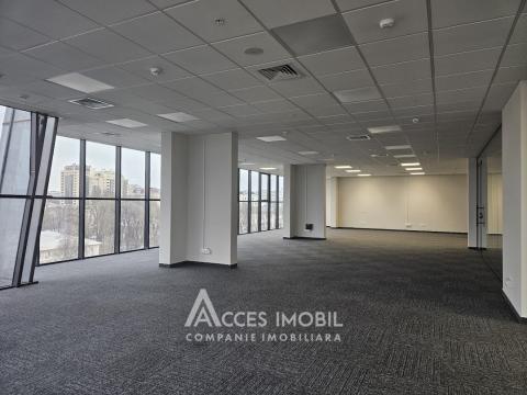 New Block! Center, Mihai Viteazul street, commercial space 238m². Eurorepair! Autonomous heating!: 8