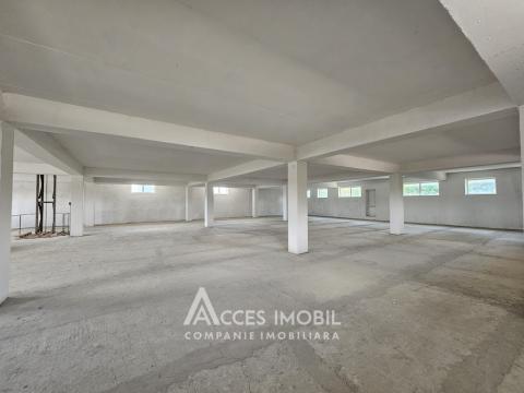 Коммерческое помещение, 1350м2! Ботаника, ул. Мунчешти!: 2