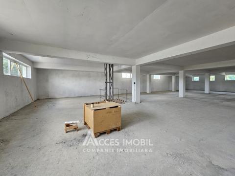 Коммерческое помещение, 1350м2! Ботаника, ул. Мунчешти!: 3