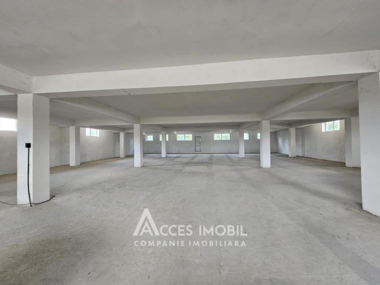 Коммерческое помещение, 1350м2! Ботаника, ул. Мунчешти!: 4