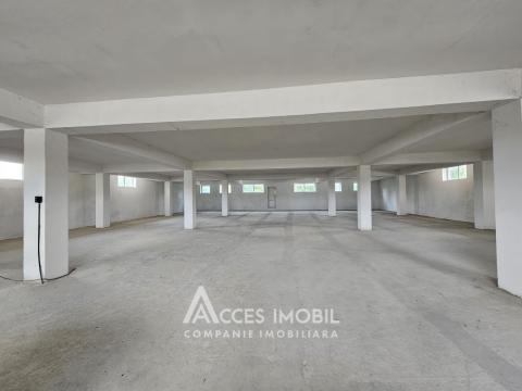 Коммерческое помещение, 1350м2! Ботаника, ул. Мунчешти!: 4