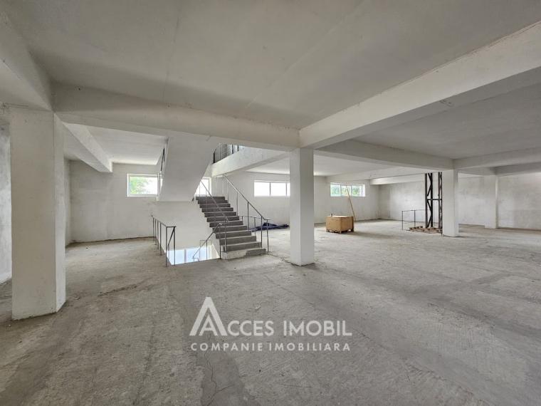 Коммерческое помещение, 1350м2! Ботаника, ул. Мунчешти!: 5