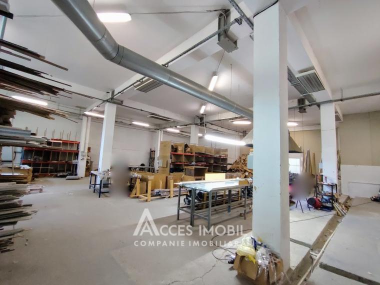 Коммерческое помещение, 1350м2! Ботаника, ул. Мунчешти!: 9