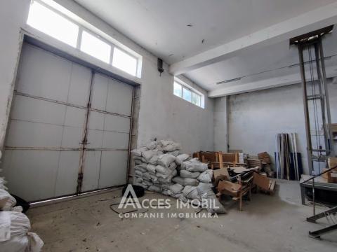 Коммерческое помещение, 1350м2! Ботаника, ул. Мунчешти!: 11