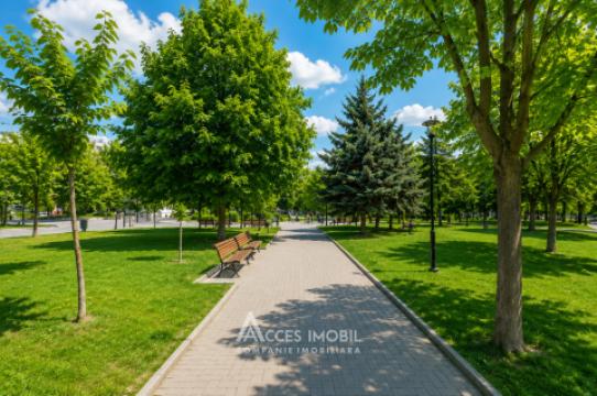 Рышкановка, ул. Мирон Костин, 2 комнаты. Евроремонт! Середина дома!: 10