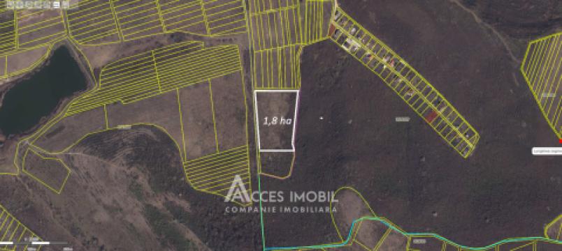 Land for construction, 184 ares! Budești, Budești Street!: 11