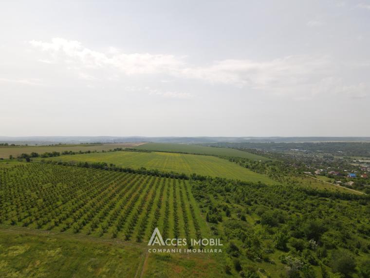 Lot de teren agricol  24 ari! Bubuieci!: 1