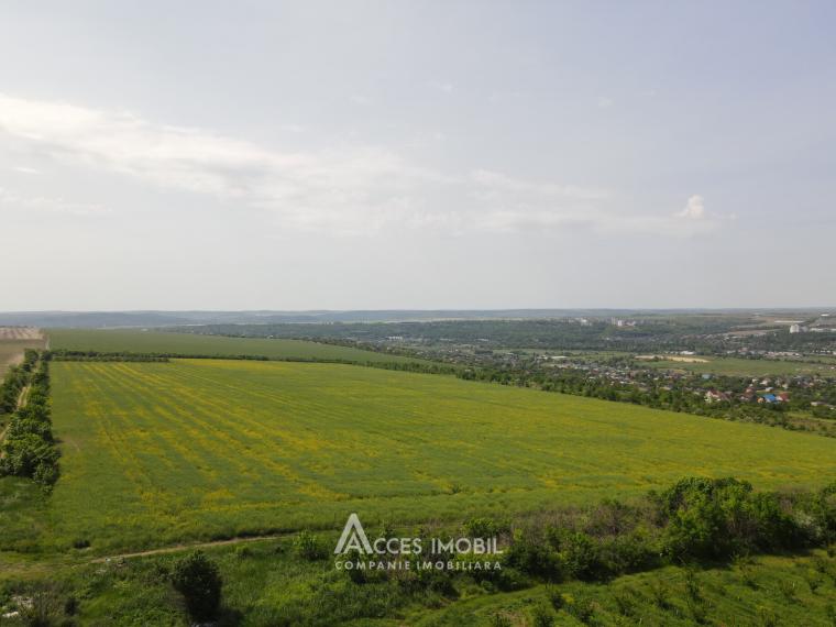 Lot de teren agricol  24 ari! Bubuieci!: 2