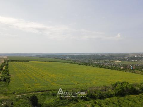 Lot de teren agricol  24 ari! Bubuieci!: 2
