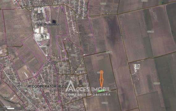 Lot de teren agricol  24 ari! Bubuieci!: 4