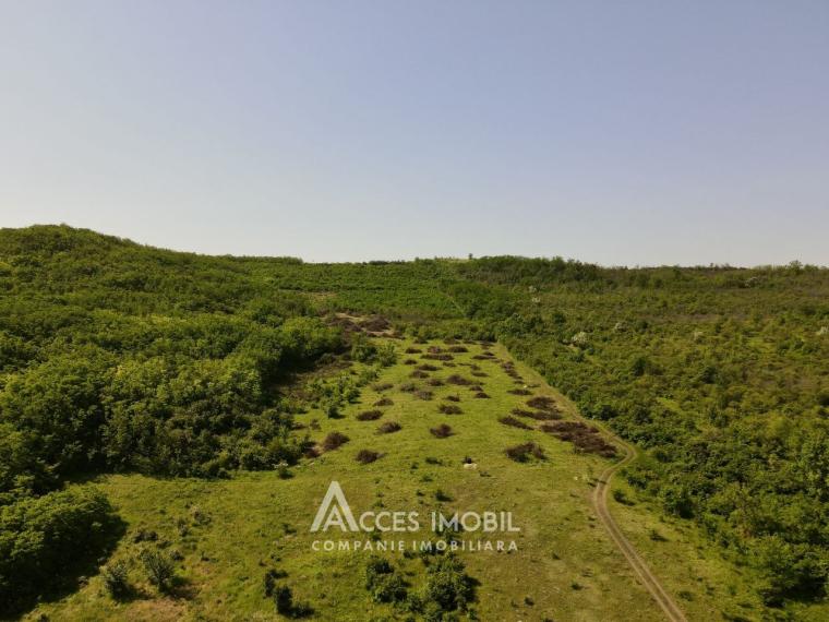 Land for construction, 184 ares! Budești, Budești Street!: 6