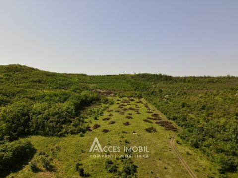 Land for construction, 184 ares! Budești, Budești Street!: 6
