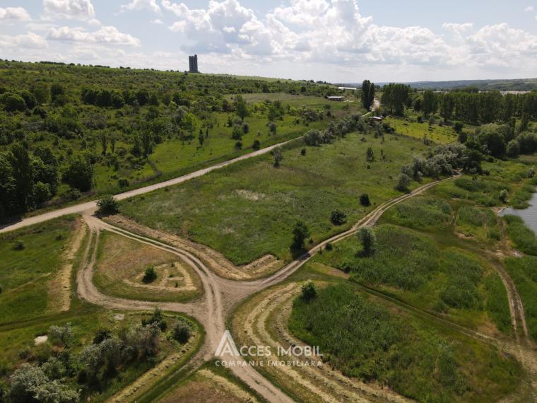 Teren agricol 70 ari, Dănceni!: 5