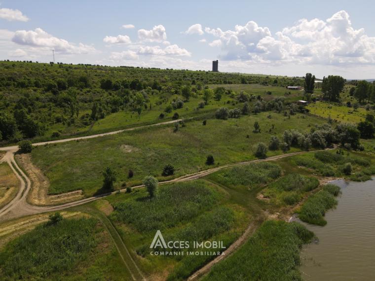 Teren agricol 70 ari, Dănceni!: 6