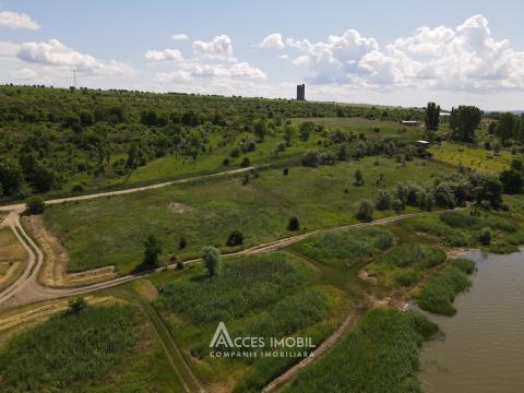 Teren agricol 70 ari, Dănceni!: 6