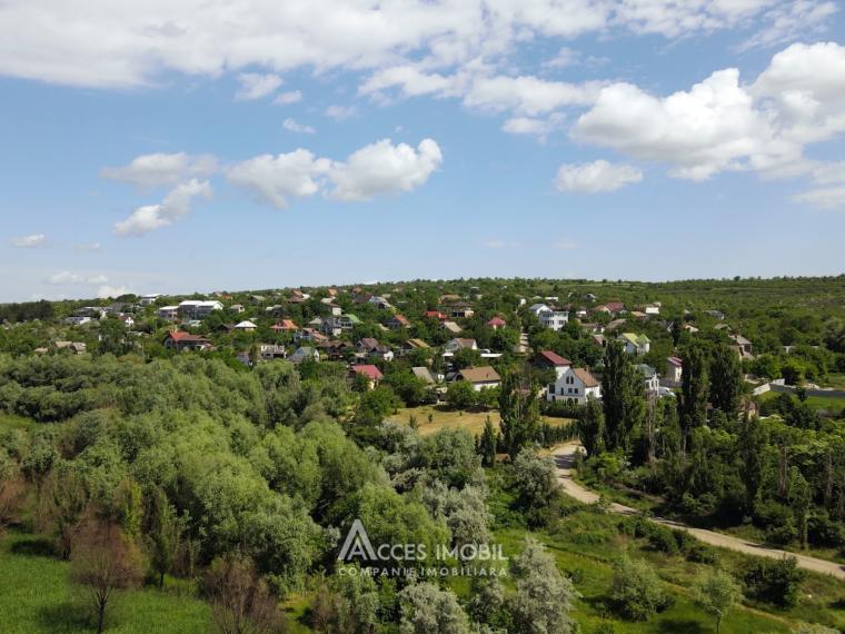 Teren agricol 70 ari, Dănceni!: 7