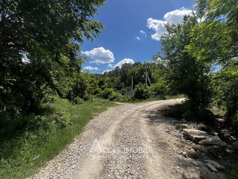 Teren pomicol 5 ari, Băcioi, IP Bacivet!: 4