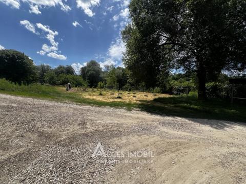 Teren pomicol 5 ari, Băcioi, IP Bacivet!: 5