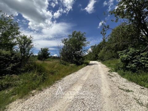 Teren pomicol 5 ari, Băcioi, IP Bacivet!: 6