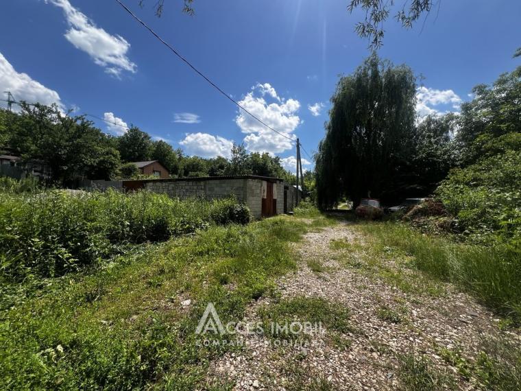 Teren pomicol 5 ari, Băcioi, IP Bacivet!: 0
