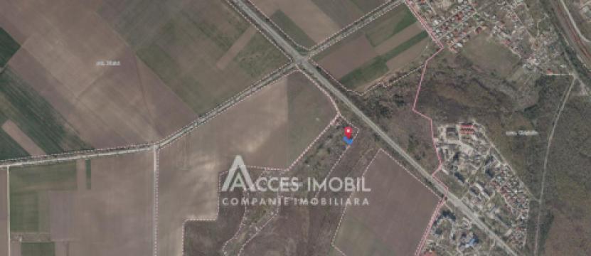 Teren pomicol 5 ari, Băcioi, IP Bacivet!: 10