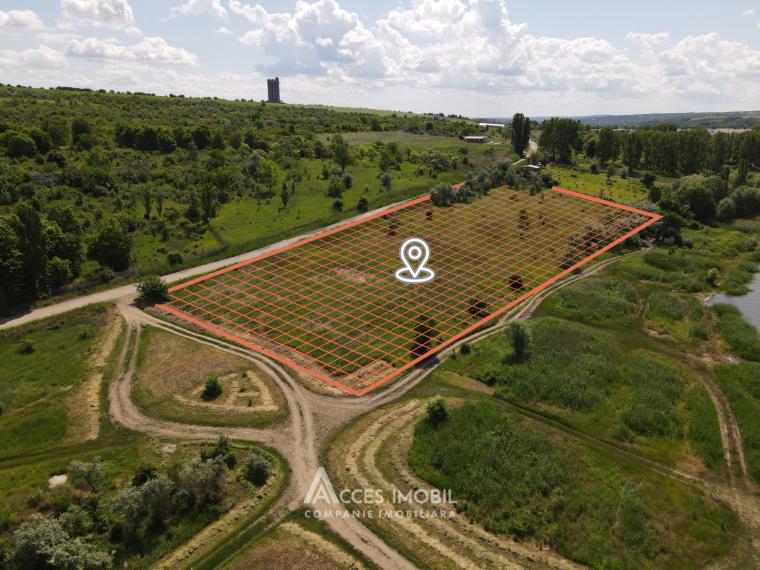 Teren agricol 70 ari, Dănceni!: 8