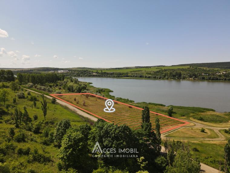 Teren agricol 70 ari, Dănceni!: 9