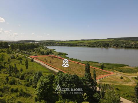 Teren agricol 70 ari, Dănceni!: 9