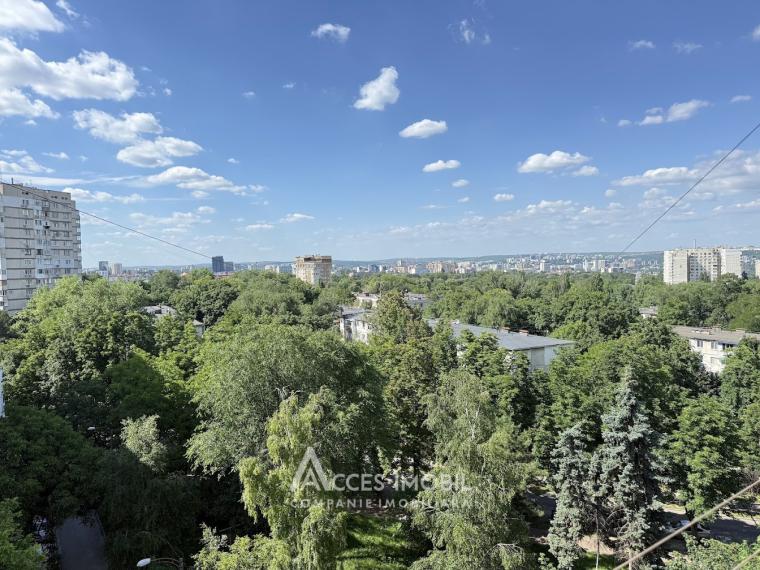 Ботаника, бул. Дачия, 2 комнаты. Панорамный вид!: 12
