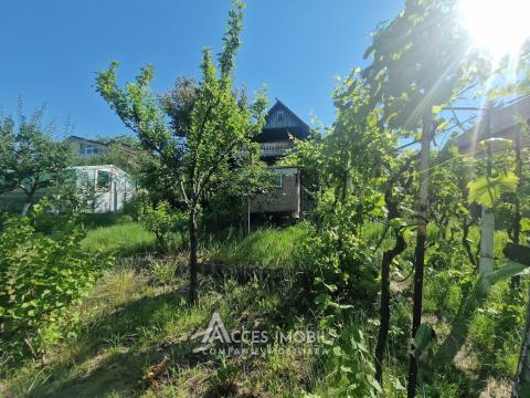 Villa in 2 levels! Codru, Sihastrului Street, 50m² + 6 ares!: 7